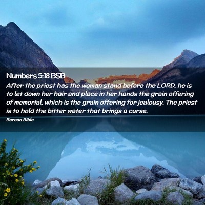 Picture 02 - Numbers 5:18 BSB - After the priest has the woman stand before the - Bible Verse Picture