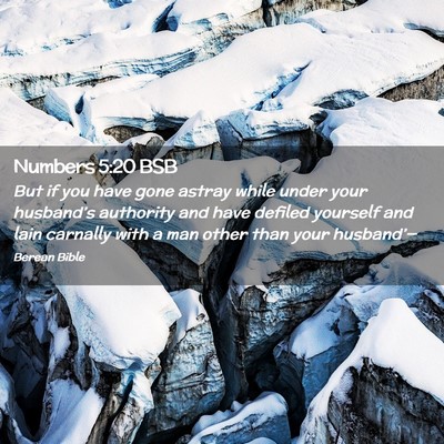 Picture 02 - Numbers 5:20 BSB - But if you have gone astray while under your - Bible Verse Picture