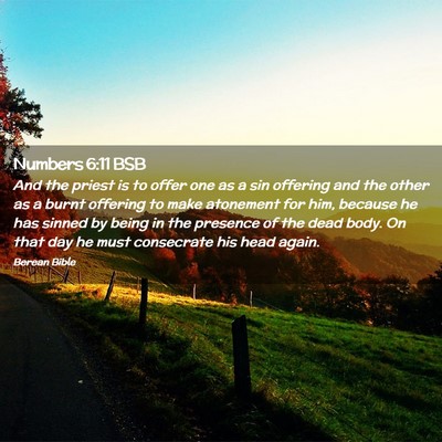 Picture 02 - Numbers 6:11 BSB - And the priest is to offer one as a sin offering - Bible Verse Picture