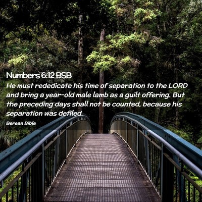 Picture 02 - Numbers 6:12 BSB - He must rededicate his time of separation to the - Bible Verse Picture