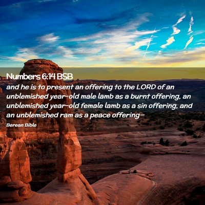 Picture 02 - Numbers 6:14 BSB - and he is to present an offering to the LORD of - Bible Verse Picture