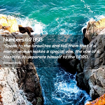 Picture 02 - Numbers 6:2 BSB - “Speak to the Israelites and tell them that if - Bible Verse Picture