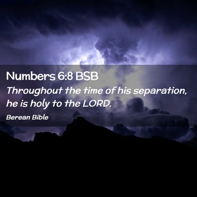 Picture 02 - Numbers 6:8 BSB - Throughout the time of his separation, he is holy - Bible Verse Picture