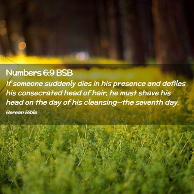 Picture 02 - Numbers 6:9 BSB - If someone suddenly dies in his presence and - Bible Verse Picture