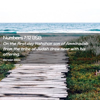 Picture 02 - Numbers 7:12 BSB - On the first day Nahshon son of Amminadab from - Bible Verse Picture