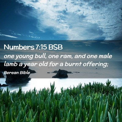 Picture 02 - Numbers 7:15 BSB - one young bull, one ram, and one male lamb a year - Bible Verse Picture