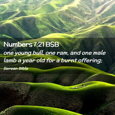 Picture 02 - Numbers 7:21 BSB - one young bull, one ram, and one male lamb a year - Bible Verse Picture