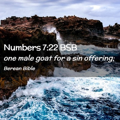 Picture 02 - Numbers 7:22 BSB - one male goat for a sin - Bible Verse Picture