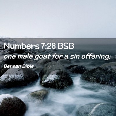 Picture 02 - Numbers 7:28 BSB - one male goat for a sin - Bible Verse Picture