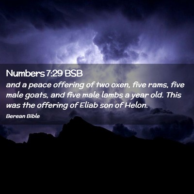 Picture 02 - Numbers 7:29 BSB - and a peace offering of two oxen, five rams, five - Bible Verse Picture