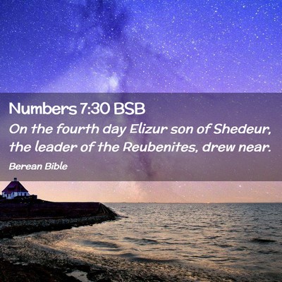 Picture 02 - Numbers 7:30 BSB - On the fourth day Elizur son of Shedeur, the - Bible Verse Picture