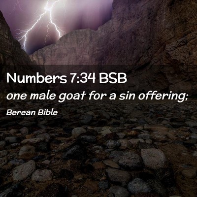 Picture 02 - Numbers 7:34 BSB - one male goat for a sin - Bible Verse Picture