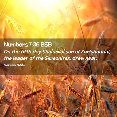 Picture 02 - Numbers 7:36 BSB - On the fifth day Shelumiel son of Zurishaddai, - Bible Verse Picture