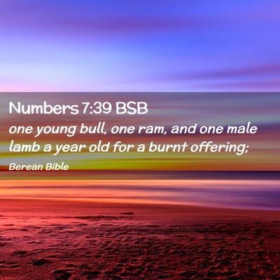 Picture 02 - Numbers 7:39 BSB - one young bull, one ram, and one male lamb a year - Bible Verse Picture