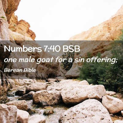 Picture 02 - Numbers 7:40 BSB - one male goat for a sin - Bible Verse Picture