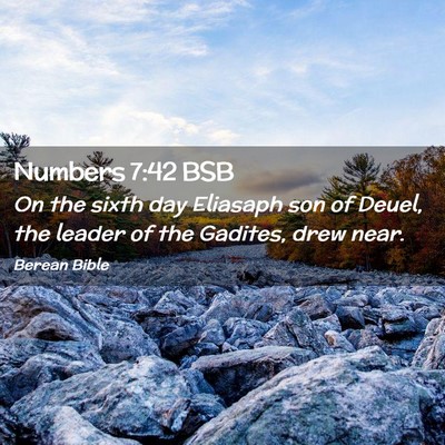 Picture 02 - Numbers 7:42 BSB - On the sixth day Eliasaph son of Deuel, the - Bible Verse Picture