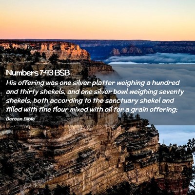 Picture 02 - Numbers 7:43 BSB - His offering was one silver platter weighing a - Bible Verse Picture