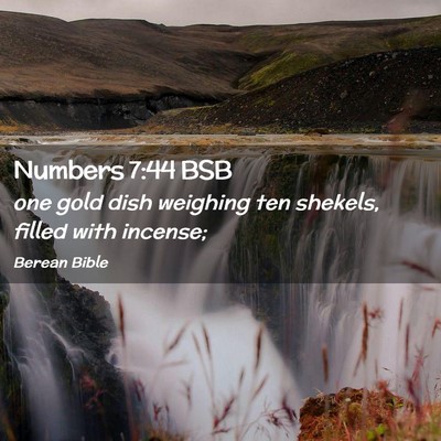 Picture 02 - Numbers 7:44 BSB - one gold dish weighing ten shekels, filled with - Bible Verse Picture