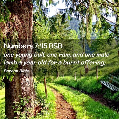 Picture 02 - Numbers 7:45 BSB - one young bull, one ram, and one male lamb a year - Bible Verse Picture