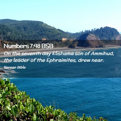 Picture 02 - Numbers 7:48 BSB - On the seventh day Elishama son of Ammihud, the - Bible Verse Picture
