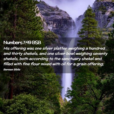 Picture 02 - Numbers 7:49 BSB - His offering was one silver platter weighing a - Bible Verse Picture