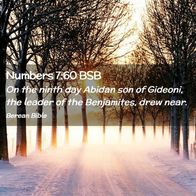 Picture 02 - Numbers 7:60 BSB - On the ninth day Abidan son of Gideoni, the - Bible Verse Picture