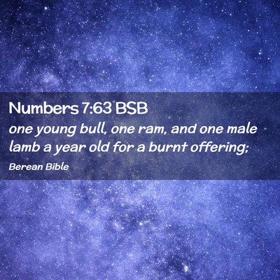 Picture 02 - Numbers 7:63 BSB - one young bull, one ram, and one male lamb a year - Bible Verse Picture