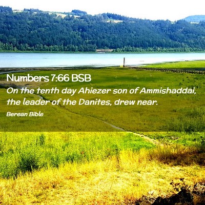 Picture 02 - Numbers 7:66 BSB - On the tenth day Ahiezer son of Ammishaddai, the - Bible Verse Picture