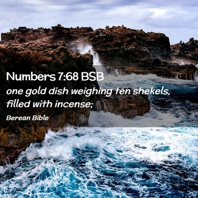 Picture 02 - Numbers 7:68 BSB - one gold dish weighing ten shekels, filled with - Bible Verse Picture