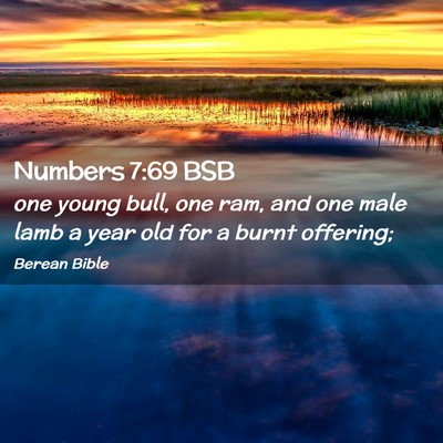 Picture 02 - Numbers 7:69 BSB - one young bull, one ram, and one male lamb a year - Bible Verse Picture
