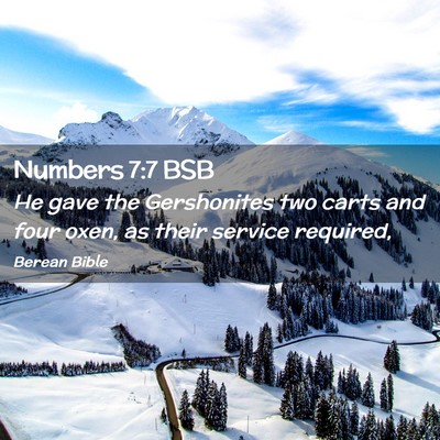 Picture 02 - Numbers 7:7 BSB - He gave the Gershonites two carts and four oxen, - Bible Verse Picture