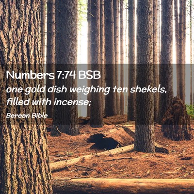 Picture 02 - Numbers 7:74 BSB - one gold dish weighing ten shekels, filled with - Bible Verse Picture
