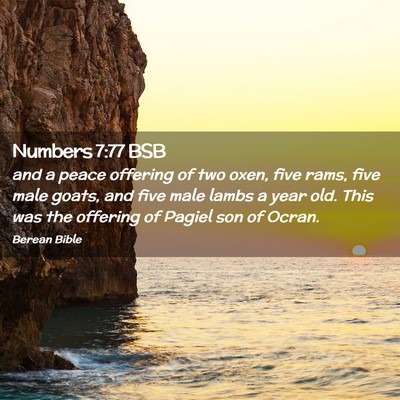 Picture 02 - Numbers 7:77 BSB - and a peace offering of two oxen, five rams, five - Bible Verse Picture