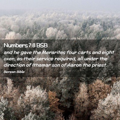 Picture 02 - Numbers 7:8 BSB - and he gave the Merarites four carts and eight - Bible Verse Picture