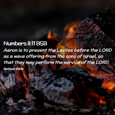 Picture 02 - Numbers 8:11 BSB - Aaron is to present the Levites before the LORD - Bible Verse Picture