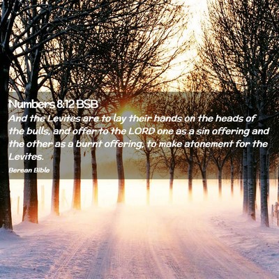 Picture 02 - Numbers 8:12 BSB - And the Levites are to lay their hands on the - Bible Verse Picture