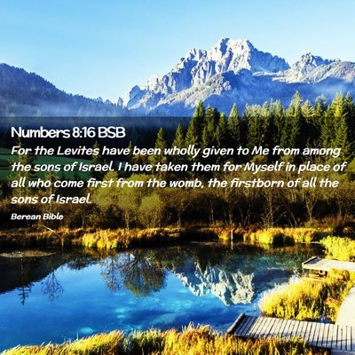 Picture 02 - Numbers 8:16 BSB - For the Levites have been wholly given to Me from - Bible Verse Picture