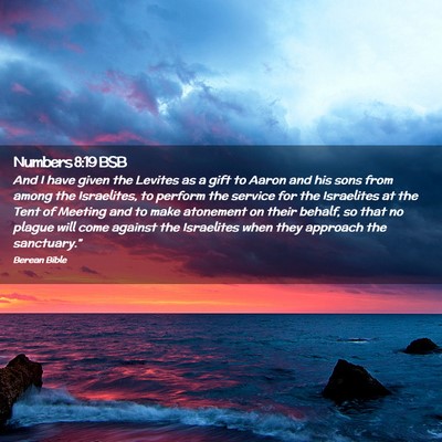 Picture 02 - Numbers 8:19 BSB - And I have given the Levites as a gift to Aaron - Bible Verse Picture