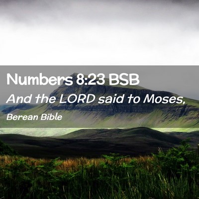 Picture 02 - Numbers 8:23 BSB - And the LORD said to - Bible Verse Picture