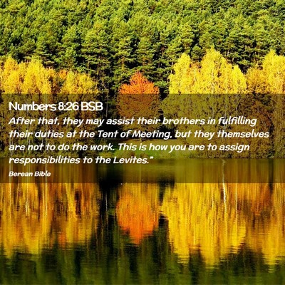 Picture 02 - Numbers 8:26 BSB - After that, they may assist their brothers in - Bible Verse Picture