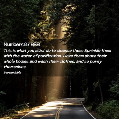 Picture 02 - Numbers 8:7 BSB - This is what you must do to cleanse them: - Bible Verse Picture