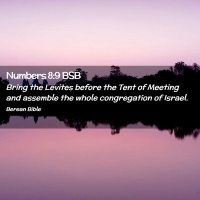 Picture 02 - Numbers 8:9 BSB - Bring the Levites before the Tent of Meeting and - Bible Verse Picture