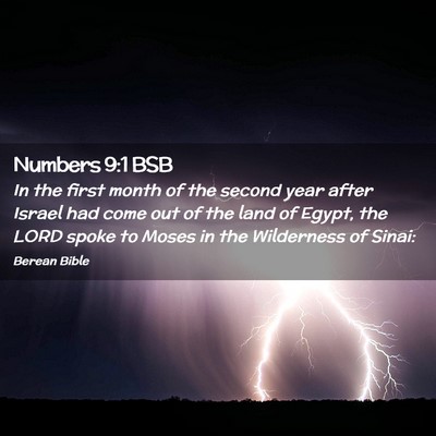Picture 02 - Numbers 9:1 BSB - In the first month of the second year after - Bible Verse Picture