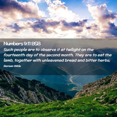 Picture 02 - Numbers 9:11 BSB - Such people are to observe it at twilight on the - Bible Verse Picture