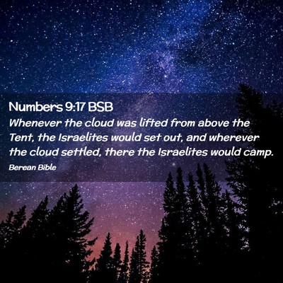 Picture 02 - Numbers 9:17 BSB - Whenever the cloud was lifted from above the - Bible Verse Picture