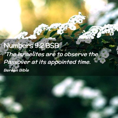 Picture 02 - Numbers 9:2 BSB - “The Israelites are to observe the Passover at - Bible Verse Picture