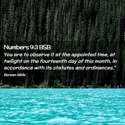 Picture 02 - Numbers 9:3 BSB - You are to observe it at the appointed time, at - Bible Verse Picture
