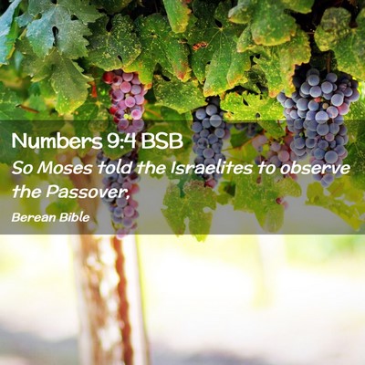 Picture 02 - Numbers 9:4 BSB - So Moses told the Israelites to observe the - Bible Verse Picture