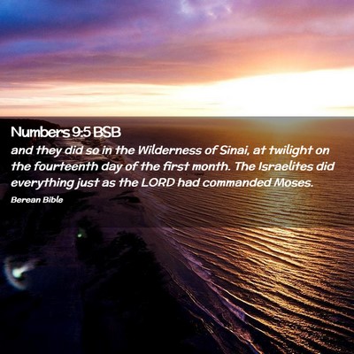 Picture 02 - Numbers 9:5 BSB - and they did so in the Wilderness of Sinai, at - Bible Verse Picture