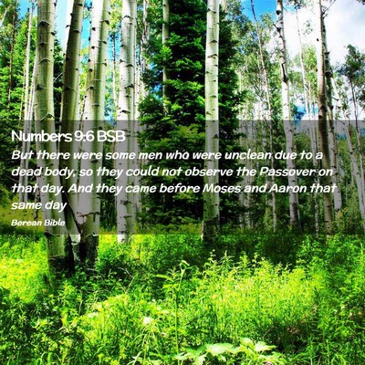 Picture 02 - Numbers 9:6 BSB - But there were some men who were unclean due to a - Bible Verse Picture